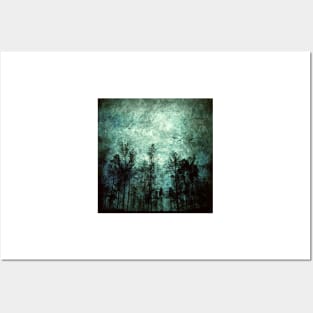 Night in the Forest Posters and Art